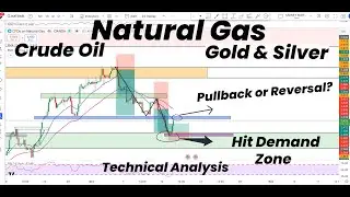 Natural Gas Hit Demand Zone | Pullback or Reversal ? | Gold | Silver |Crude Oil | Technical Analysis