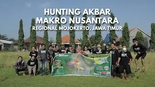 Hunting Akbar Macro Nusantara 2021 Korwil Mojokerto | Lomba Fotografi Makro Terbesar