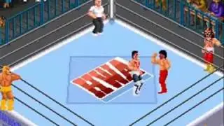 Super Fire Pro Wrestling 2 Review