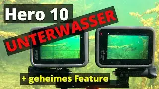 Hero10 Unterwasser - besser als die 9er? | Ein kritischer Vergleichstest für Apnoe und Gerätetaucher