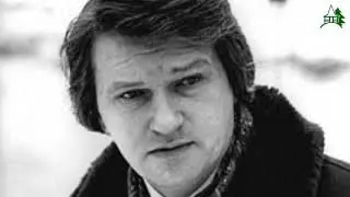 Поэт Николай Дмитриев