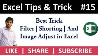 How to Pictures in Excel & Filter + Shorting + Image Adjust in Excel - Tutorial | NK Excel Classes