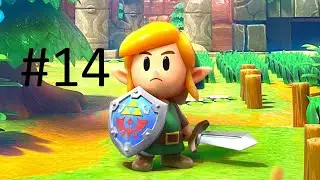 Lets Play Links Awakening Part 14 (Where to Find The Hookshot!)