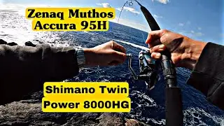 ZENAQ ACCURA 95H FIRST BLOOD WITH SHIMANO TWIN POWER 8000HG