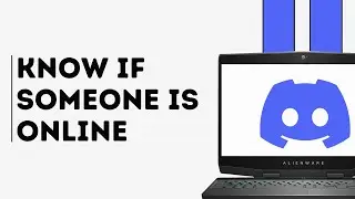 How to Know if Someone is Online on Discord (Quick & Easy)