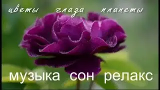 #relaxing