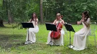 Музыка из мультфильма 