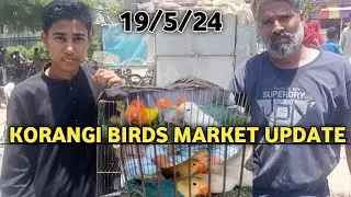Sunday Korangi Bird Market Update | Latest Prices & Rare Finds