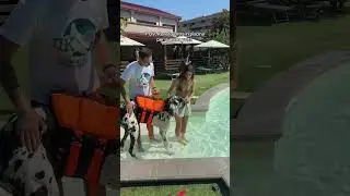 Voi avreste fatto lo stesso? ❤️ 
