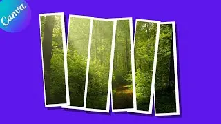 How to make photo strip in canva tutorial by DLC Ventures India