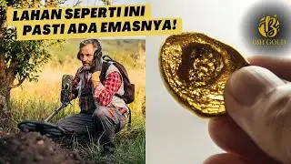 Ciri Lahan Yang Mengandung Emas, Adakah di Tempat Kalian?