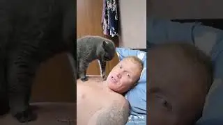 Борзый кот пресует квартирантов))