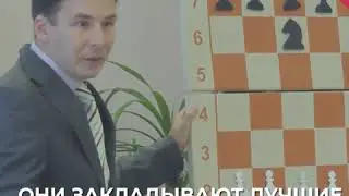День тренера