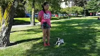 20170805 Chibi passivitetsträning Jesusparken