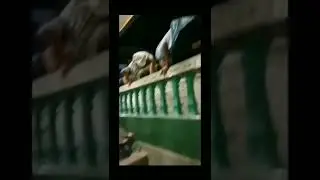 Gara Gara tak mau ketinggalan Sholat Tarawih 😂