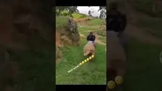 çok iyi ya