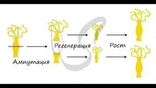28 августа 2024 г.