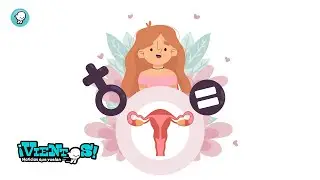 Briefs: What is menstruation?