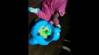 Pelotas