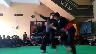 Seru!! Pertandingan pencak silat, satya mandala vs atlit pagar nusa deng bantingan yg sangat keren
