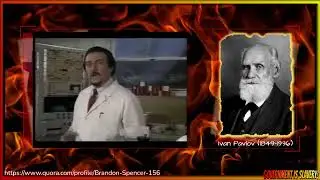 Behaviorism - Controlling the Environment to Shape YOU