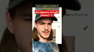 would you want a pirate pigeon?? (part 2) 