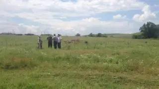 Hameau ANIKIN (Russia region rostov) 3