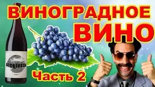 Виноградное вино. Часть 2