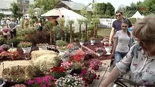 В МУЗЕОНе проходит Международный фестиваль садов и цветов