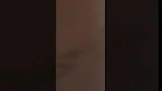 I’m not dead I swear