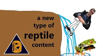 Upload_Successful: Launching RepTillis.exe
