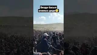 Казакстан 🇰🇿