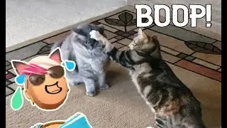 Saki and Gigi 