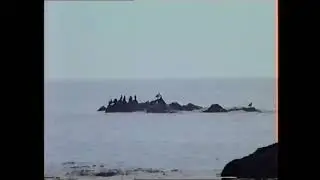 On the Clyde coast 1989 Archive