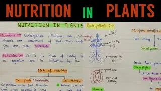 Nutrition in plants chapter 1 class 7 | Nutrition in plants class 7 | class 7 nutrition in plants