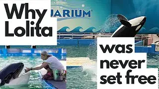 Why Lolita (orca) was never set free