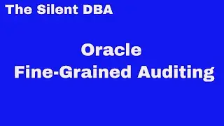 Oracle Fine-Grained Auditing