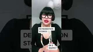 What can we learn about detransition stories?