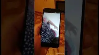 Изгнание джинов онлайн из любой точки мира. Ашур Тогаев.