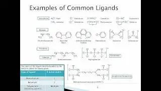 Lecture - Transition Metals