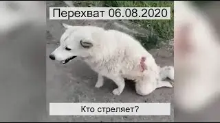 Перехват 06.08.2020 Кто стреляет?