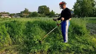 Как косить мотокосой переросшую траву на корм или сено