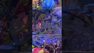 Tomorrowland nostalgia is hitting💭#solomun #newmusic #electronicmusic #tomorrowland #shorts