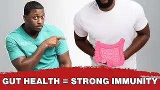 Your Gut Health Affects Your Immune System