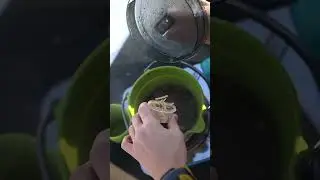 Складной, лёгкий, компактный силиконовый котелок с радиаторным дном