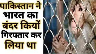 Top 10 Amazing Facts About India Amazing facts Random Facts 