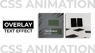 CSS Hover with Text Overlay Effect | CSS Animation Examples
