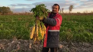 Gashir otizdan reportaj! Xayrulla ukamizni gashirlari zo'r bo'ldi endi quyon boqmoqchi.