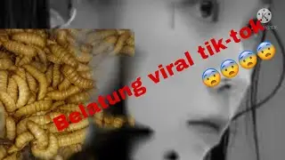 Belatung viral tik-tok menjijikan