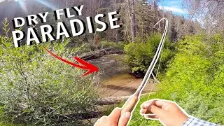 Nothing Beats Awesome Backcountry Fly Fishing!